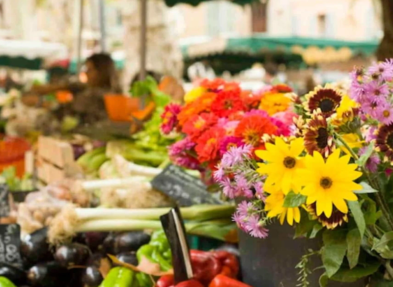 Le marché aux fleurs à Aix en Provence - un voyage en Provence