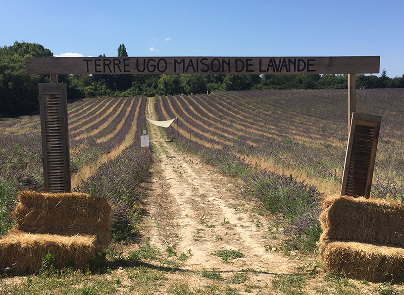 Terre Ugo, Aix-en-Provence